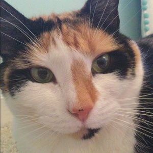 Meet your Posher, Hailey